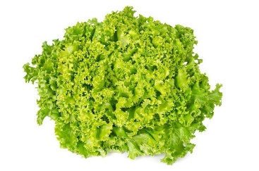 Lollo Bionda Lettuce